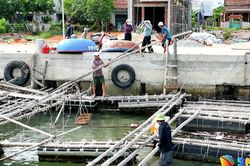 Dự án Nâng cấp khu neo đậu tránh trú bão An Hòa kết hợp cảng cá Tam Quang: Người dân Núi Thành đồng thuận, tự nguyện tháo dỡ lồng nuôi, bàn giao mặt bằng
