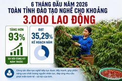 Gỡ 'nút thắt' đào tạo nghề
