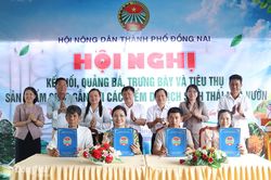 Kết nối OCOP với du lịch sinh thái