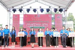 Phát huy tinh thần tình nguyện của đoàn viên, học sinh trong chiến dịch Hoa phượng đỏ