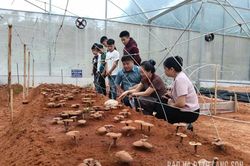 Vững tay nghề, chắc cơ hội việc làm