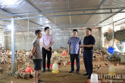 Khảo sát tình hình sử dụng vốn tại một số dự án vay từ Quỹ Hỗ trợ phát triển hợp tác xã