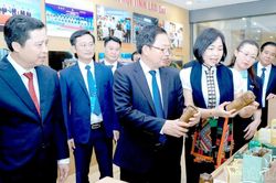 80 gian hàng quảng bá tiềm năng phát triển của Lào Cai tại Hội nghị Xúc tiến đầu tư năm 2026