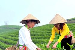 Mở lối du lịch xanh