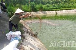 Kinh tế trang trại – Hướng phát triển bền vững