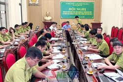 Sơn La hướng tới mục tiêu nâng độ che phủ rừng đạt 48,5% năm 2026