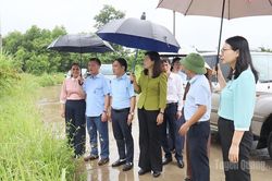 Giám sát về quản lý, sử dụng đất tại phường Bình Thuận