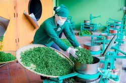 Động lực tăng trưởng từ nội lực