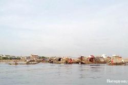 Nhớ 'mùa vọ bay'