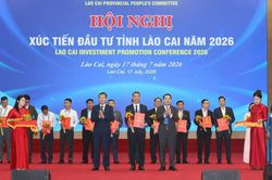 Lào Cai trao quyết định chủ trương đầu tư cho 24 dự án, tổng vốn hơn 24.000 tỷ đồng