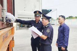 Đồng hành cùng doanh nghiệp nuôi dưỡng nguồn thu bền vững