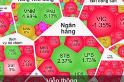 VN-Index giảm gần 17 điểm, cổ phiếu VNM bứt phá