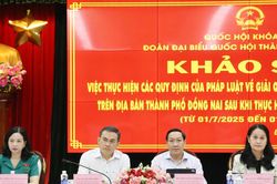Đoàn ĐBQH Đồng Nai: Rà soát vướng mắc trong giải quyết khiếu nại, tố cáo sau sáp nhập