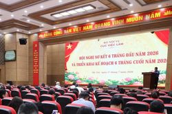 Cục Việc l&agrave;m đẩy mạnh ho&agrave;n thiện ch&iacute;nh s&aacute;ch, ph&aacute;t triển thị trường lao động hiện đại