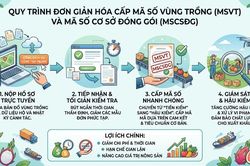 Chinh phục người tiêu dùng ngay từ thị trường trong nước