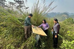 Đồn Pháp tại Lý Quốc - Di tích quân sự độc đáo trong vùng Công viên địa chất Non nước Cao Bằng