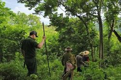 3 ngày băng đồi, vượt rừng tìm cụ ông 79 tuổi đi lạc, khoảnh khắc phát hiện khiến nhiều người xúc động