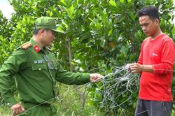 Đồng Tháp: Nhiều tai nạn đau lòng vì bẫy chuột bằng điện