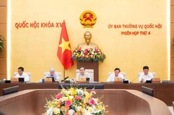 Sửa đổi Luật Bưu chính để phát triển hạ tầng kinh tế số