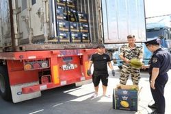 Cục Hải quan chỉ đạo gỡ vướng thông quan, ưu tiên sầu riêng xuất khẩu