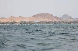 Houthi dọa tấn công cơ sở dầu mỏ của Ả Rập Xê-út