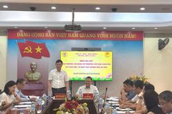 Gỡ 'điểm nghẽn' để nâng tầm giáo dục ở phường Văn Miếu - Quốc Tử Giám