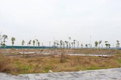 Đấu giá đất đã qua thời kỳ phải mua bằng mọi giá