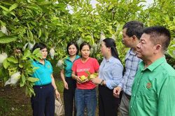 Hà Nội: Nông dân xã Yên Lãng lan tỏa trách nhiệm bảo vệ môi trường