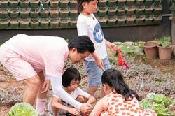 Tuấn Hưng khéo dạy con