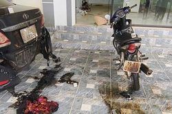 Đem xăng đốt ô tô hàng xóm giữa đêm vì mâu thuẫn