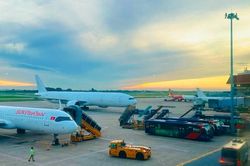 S&acirc;n bay Nội B&agrave;i b&aacute;o tin vui