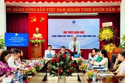 Chuyên gia góp ý hoàn thiện Luật Hôn nhân và Gia đình