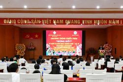 An Giang ra quân đợt chiếu phim kỷ niệm 79 năm Ngày Thương binh - Liệt sĩ