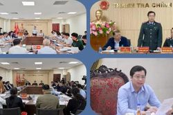 Công tác thanh tra góp phần vận hành hiệu quả mô hình, tổ chức mới
