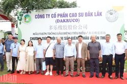 Rộn ràng cảnh tham quan, trải nghiệm vườn sầu riêng trước thềm Lễ hội Sầu riêng Đắk Lắk 2026