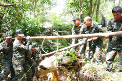 Nhiệm vụ chiến đấu trong thời bình của Bộ đội Công binh Quân khu 9
