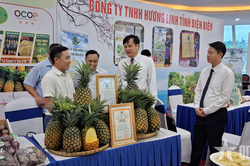 Sản xuất và chế biến xanh để nâng cao chuỗi giá trị nông sản Điện Biên