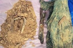 Tìm thấy 2 hài cốt liệt sĩ ở Quảng Trị
