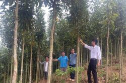 Nhà giáo giữ bình yên nơi cực Tây Tổ quốc