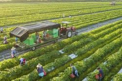 Cần cơ chế khuyến khích đầu tư vào nông nghiệp