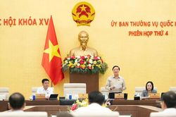 Bảo đảm xử lý tội phạm vừa nghiêm minh, vừa nhân văn, thuyết phục