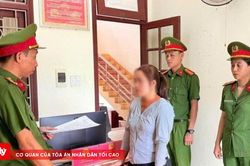 Khởi tố bị can trốn thuế hơn 2,45 tỷ đồng