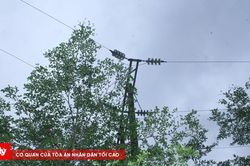 Hơn 1.000 sự cố lưới điện, tăng cường bảo đảm an to&agrave;n trước m&ugrave;a mưa b&atilde;o