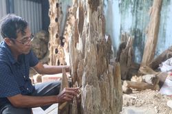 Nghề tinh tường soi ra tiền triệu từ gỗ dó bầu trồng tại vườn
