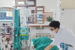 Suy đa tạng phải lọc m&aacute;u khẩn cấp sau khi ăn mật c&aacute; trắm