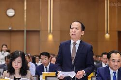 Vẫn còn tình trạng 'giấy phép con' núp bóng dưới dạng bổ sung hồ sơ, giấy tờ
