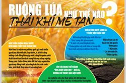 Lý do việc canh tác lúa nước phát thải nhiều khí mê tan