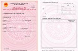 Quảng Trị tập trung khắc phục sai lệch Giấy chứng nhận quyền sử dụng đất