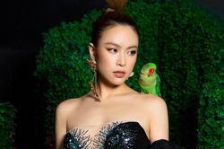Hoàng Thùy Linh sắp bị thay thế