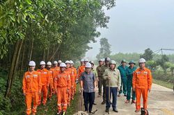 Hà Tĩnh: Chủ động bảo vệ hành lang lưới điện trước mùa mưa bão